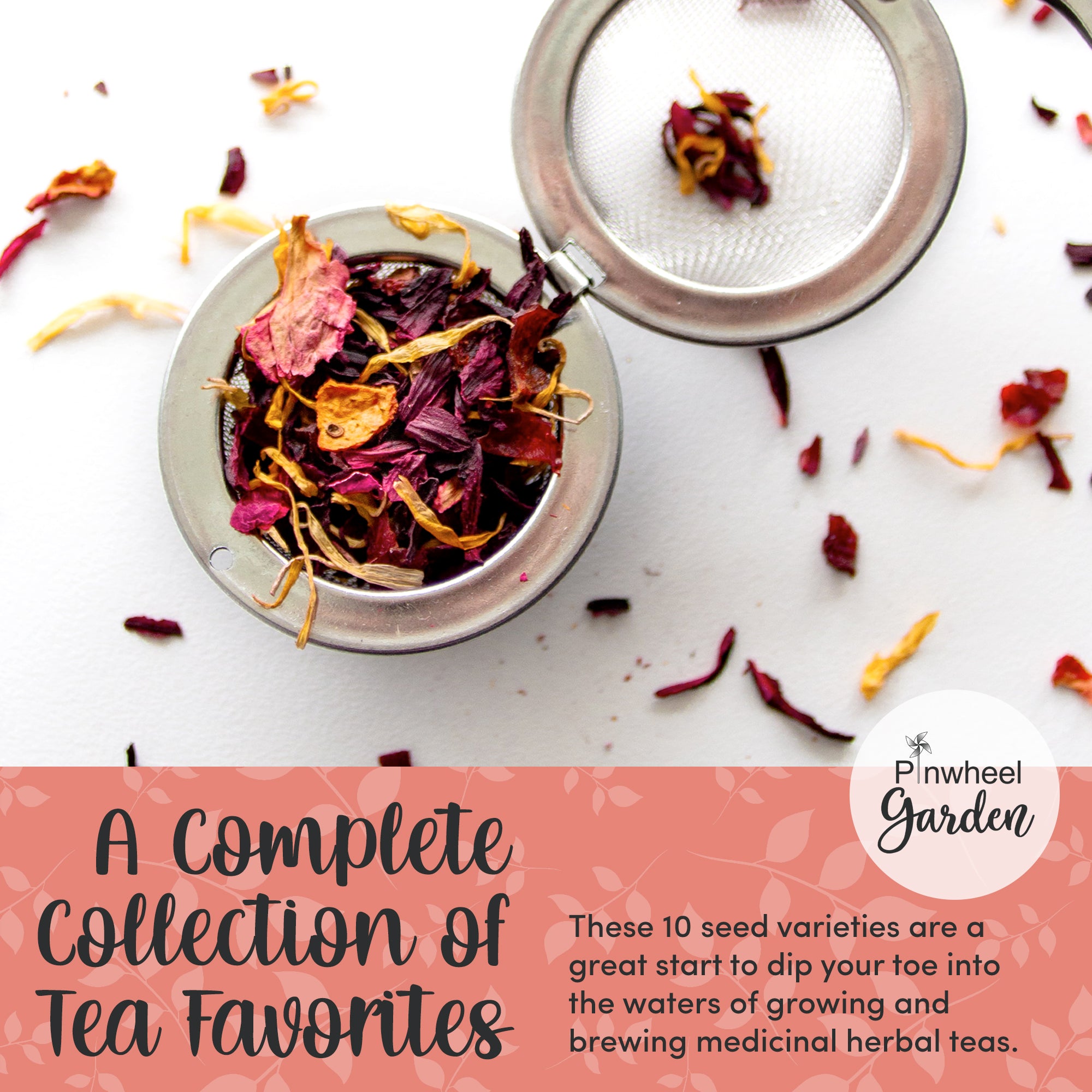 Herbal & Medicinal Tea Seeds - 10 Pack Herbal & Medicinal Tea Seeds - 10 Pack