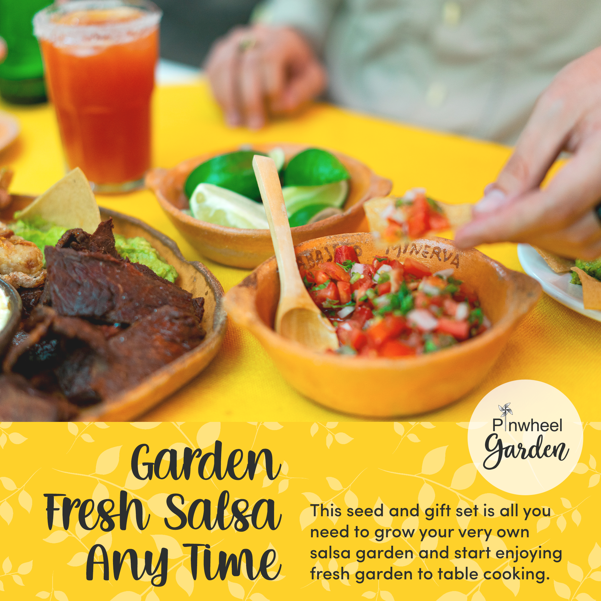 Salsa Garden Seeds & Gift Set Salsa Garden Seeds & Gift Set