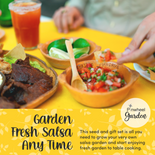 Salsa Garden Seeds & Gift Set Salsa Garden Seeds & Gift Set