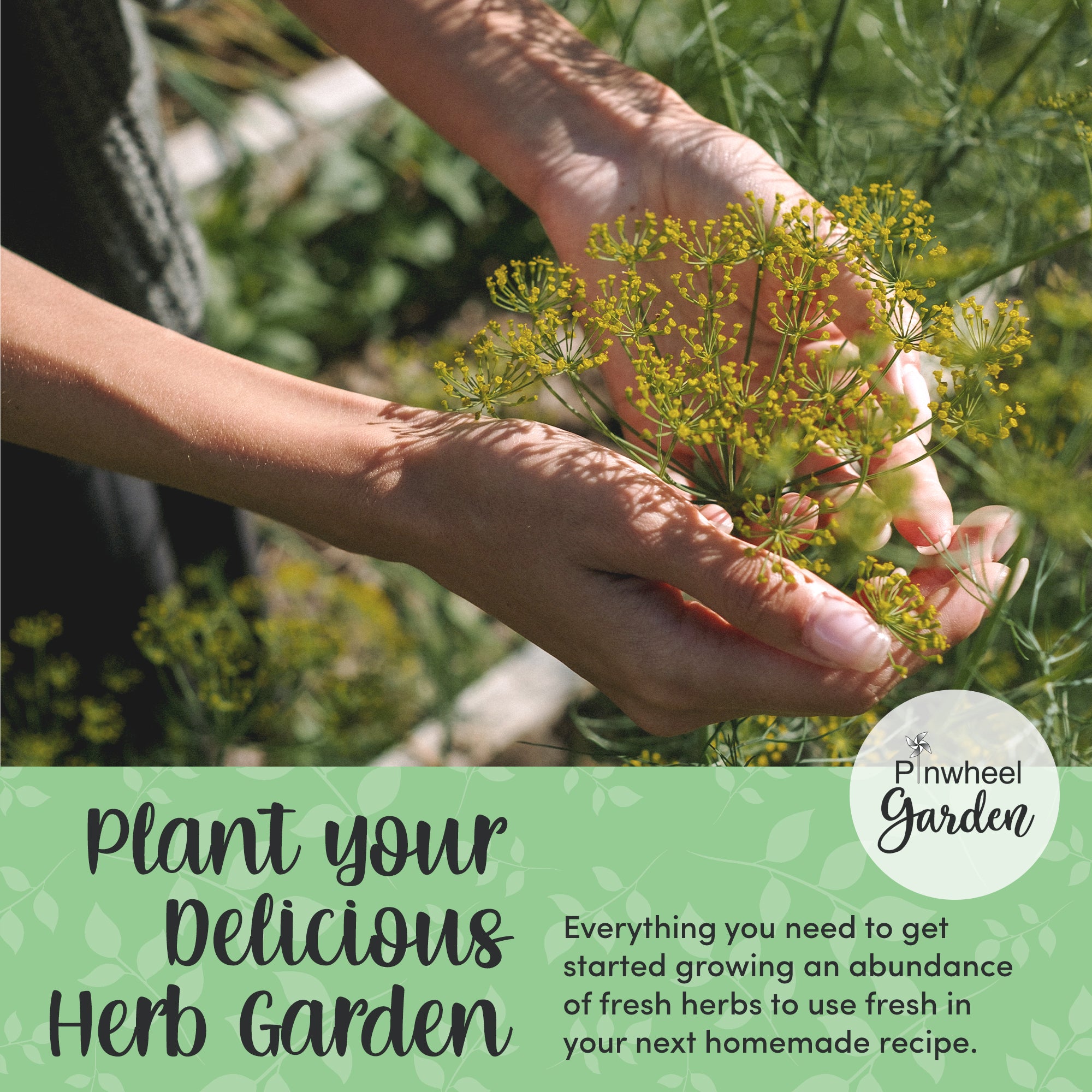 Garden Herb Seeds Gift Kit Garden Herb Seeds Gift Kit