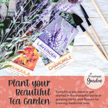 Herbal Tea Seeds Gift Kit Herbal Tea Seeds Gift Kit