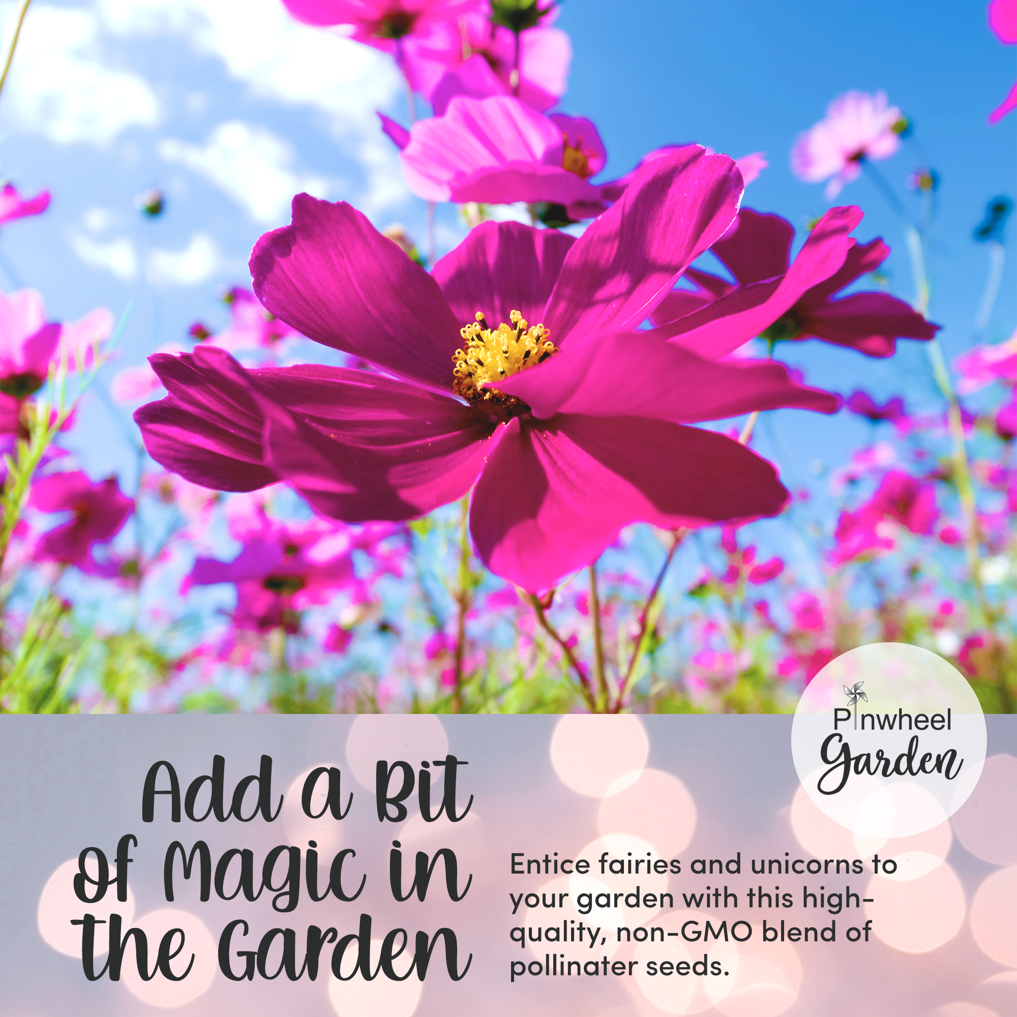 Once Upon A Time Flower Seed Mix Once Upon A Time Flower Seed Mix