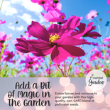 Once Upon A Time Flower Seed Mix Once Upon A Time Flower Seed Mix