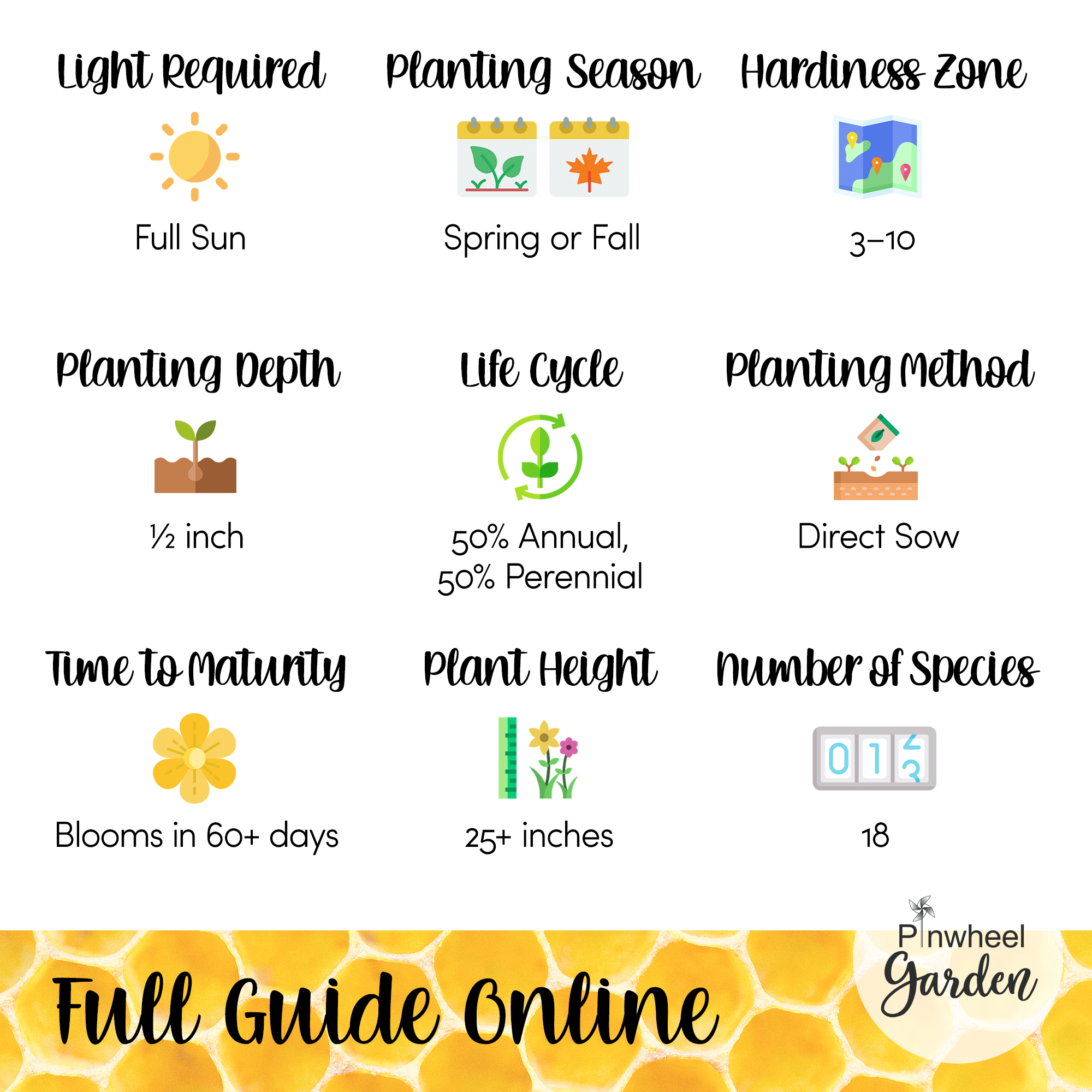 Busy Bee Flower Seed Mix Busy Bee Flower Seed Mix