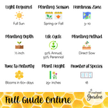 Busy Bee Flower Seed Mix Busy Bee Flower Seed Mix