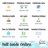 Social Butterfly Flower Seed Mix Social Butterfly Flower Seed Mix