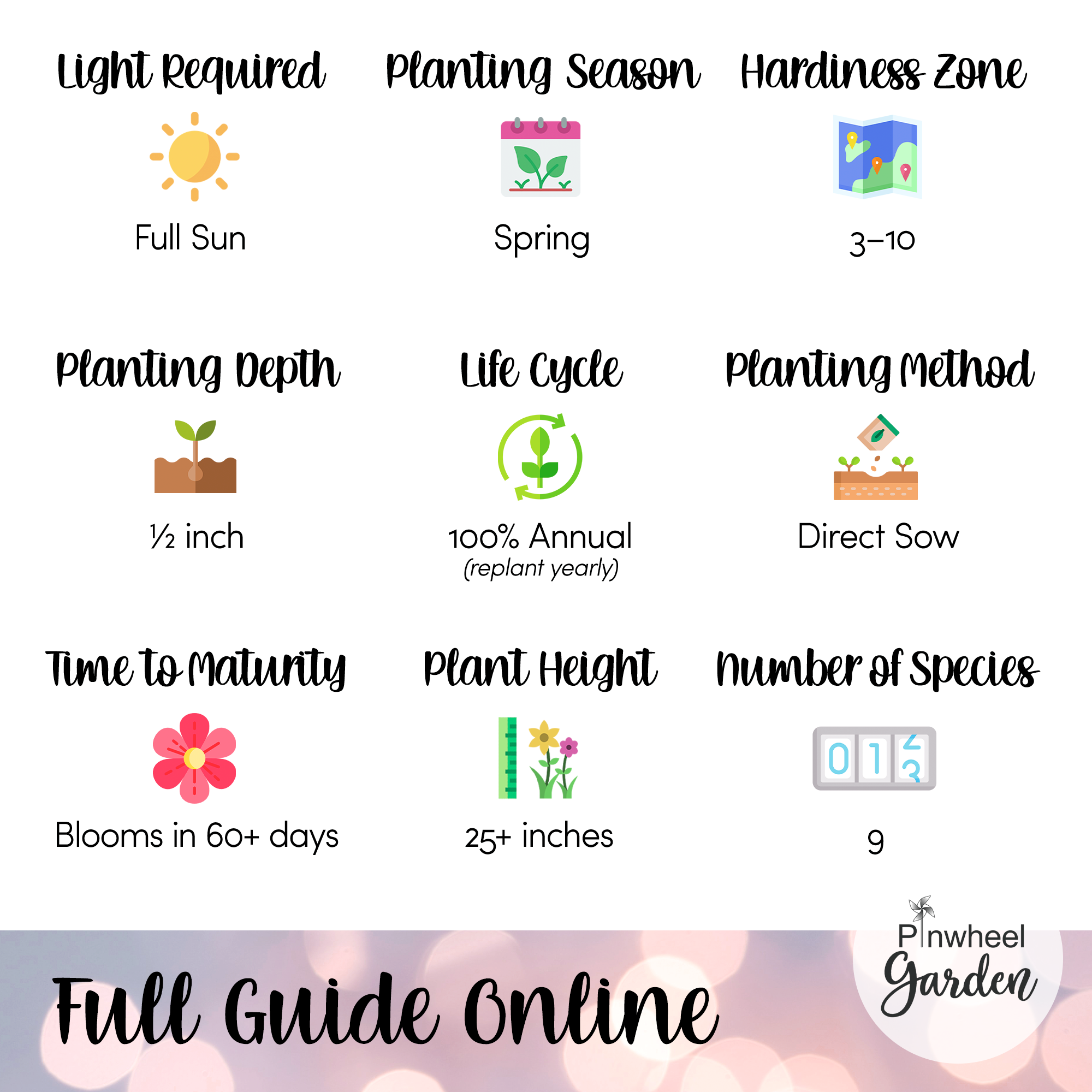 Once Upon A Time Flower Seed Mix Once Upon A Time Flower Seed Mix