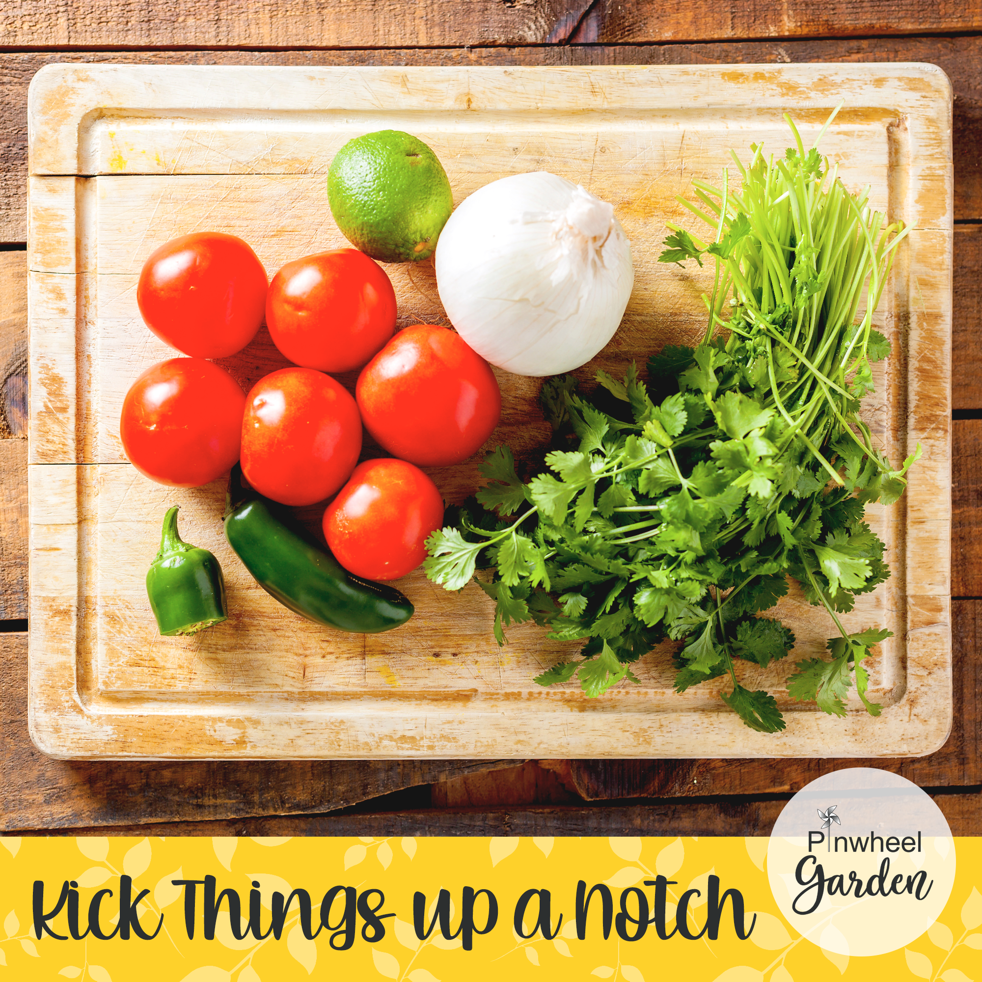 Salsa Garden Seeds & Gift Set Salsa Garden Seeds & Gift Set