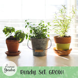 Garden Herb Seeds - 10 Pack Garden Herb Seeds - 10 Pack