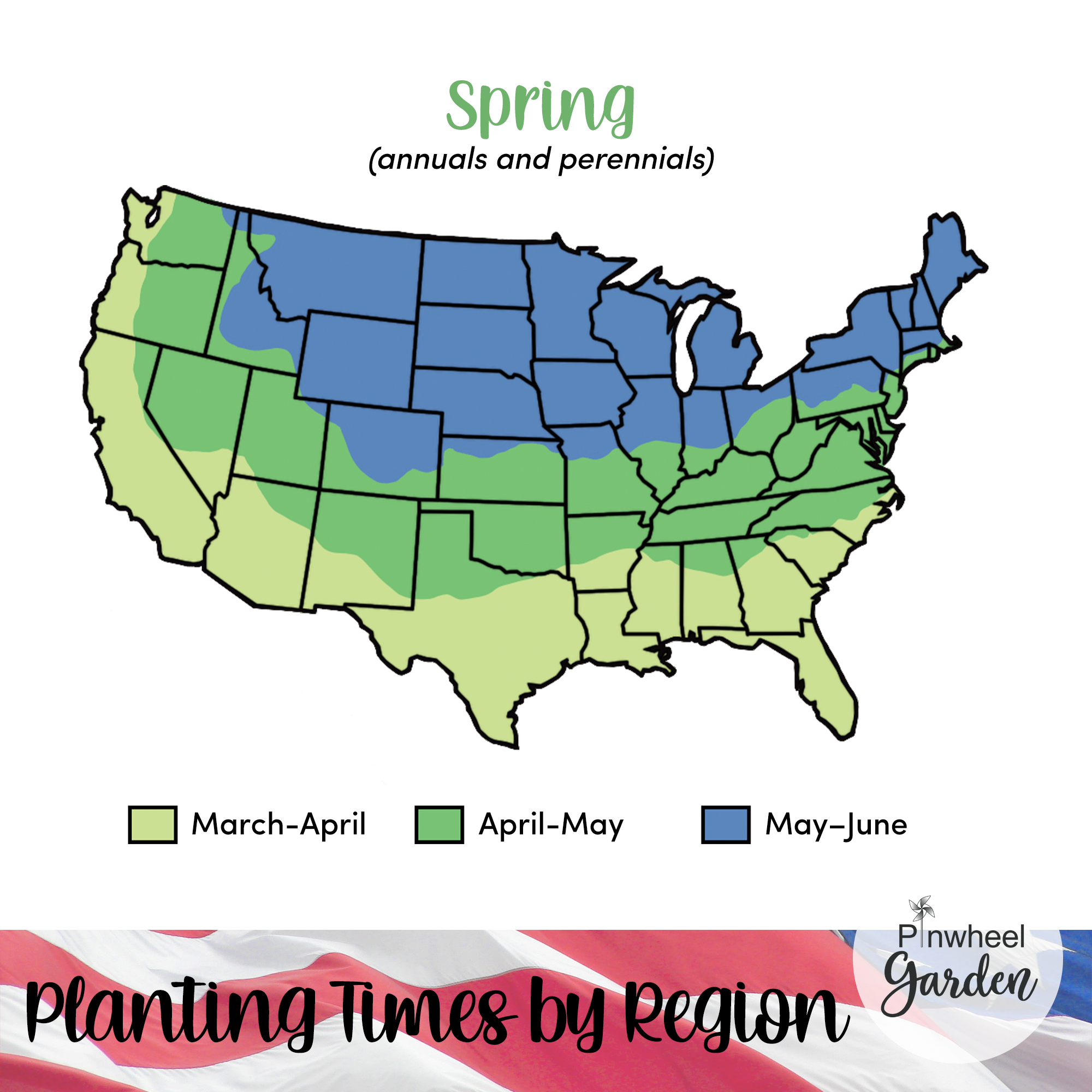 Stars and Stripes Flower Seed Mix Stars and Stripes Flower Seed Mix