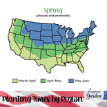 Stars and Stripes Flower Seed Mix Stars and Stripes Flower Seed Mix