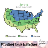 Once Upon A Time Flower Seed Mix Once Upon A Time Flower Seed Mix