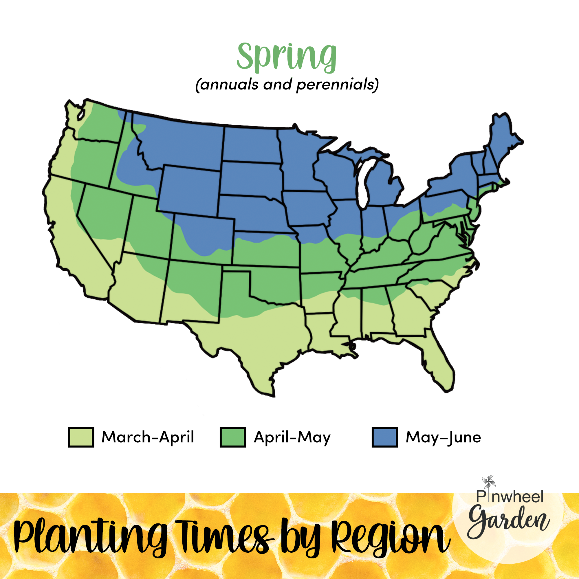 Busy Bee Flower Seed Mix Busy Bee Flower Seed Mix