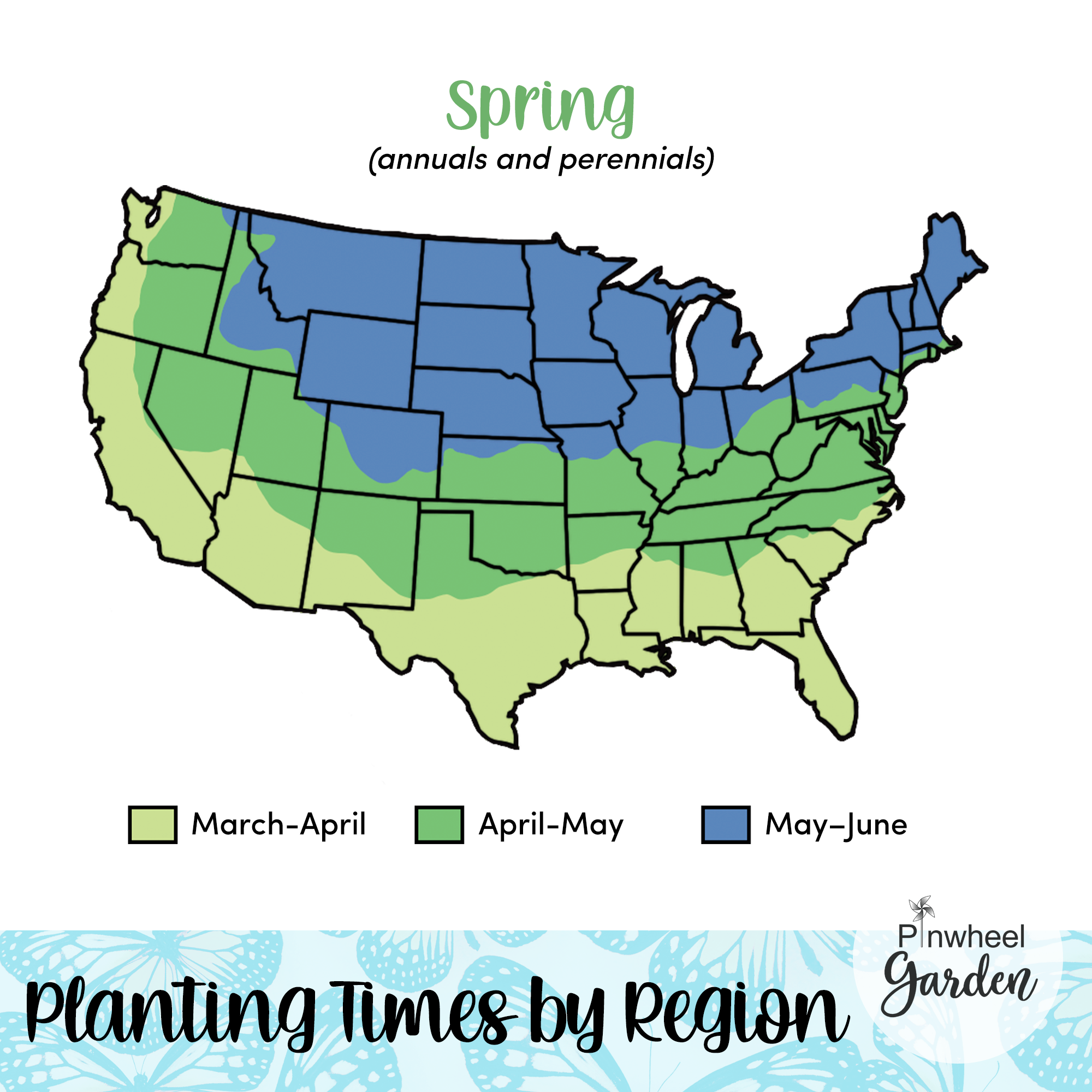 Social Butterfly Flower Seed Mix Social Butterfly Flower Seed Mix