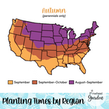 Social Butterfly Flower Seed Mix Social Butterfly Flower Seed Mix