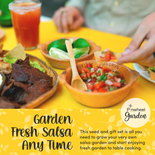 Salsa Garden Seeds & Gift Set