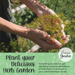 Garden Herb Seeds Gift Kit