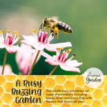 Busy Bee Flower Seed Mix