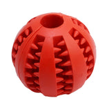 Interactive Rubber Dog Ball by Pinwheel Pets